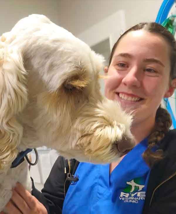 Rye Vet Clinic - Meet the Team - Charlotte